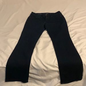 Ann Taylor LOFT 26/2p Curvy Sexy Boot